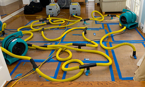 Professional Basement Flood Cleanup technician working in Somers, NY